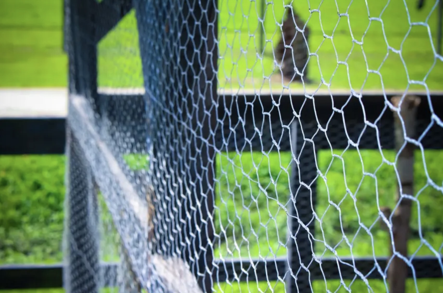 Tela Galinheiro Galvanizada Cerca Horta Jardim 50m X 1,50m — imagem 3