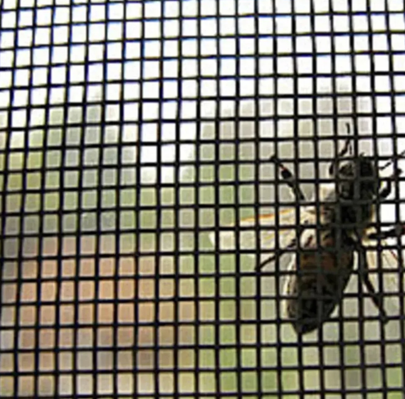 Tela Mosquiteira Em Fibra De Vidro Cinza - 3,00m X 1,50m — imagem 2