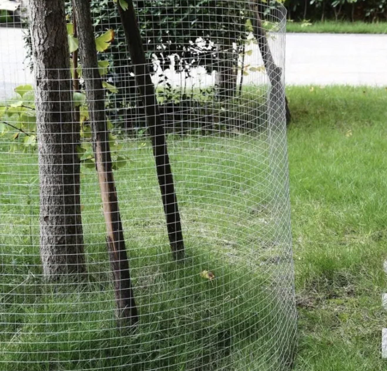 Tela Soldada 25mm Proteção Portões Pets Jardim 5,00m X 0,50m — imagem 5